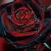 Loretta Marcum - Facebook
