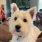 Loretta Marsh - @sunhorse5 - Instagram