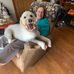Loretta Marshall - Facebook