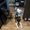 Loretta Martinez - @loretta.martinez2 - TikTok