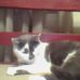 Loretta Mathews - Facebook