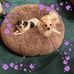 Loretta Matlock Heidtke - Facebook
