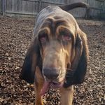 Loretta May - @loretta_may_drool - Instagram