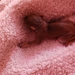 Loretta Southerland - @lorettamaye12 - Instagram
