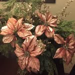 Loretta Nahomi Mayo Votaw - @mayovotaw - Instagram