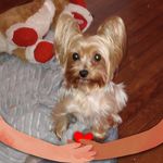 Loretta Mays Waller - @jazzy_jean - Instagram