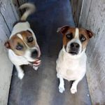 Loretta Lynn McCabe - @mccabeloretta250 - Instagram