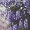 lorettamccannrbp - @lorettamccannrbp - TikTok