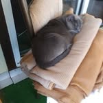 Loretta Lynn McCarthy - @lorettalynnmccarthy - Instagram