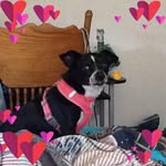 Loretta McCarthy - @lorettamccarthy17 - Instagram