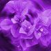 Loretta McClendon - Facebook