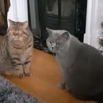 Loretta McCormick - @loretta.mccormick.12 - Instagram