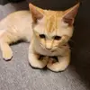 LorettaMccormick - @wiegahuaswk - TikTok