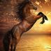 Loretta Mccutcheon - Facebook