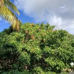 Loretta Mckenzie - @loretta.mckenzie.50 - Instagram