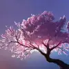 lorettamcnabb678 - @lorettamcnabb678 - TikTok