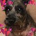Loretta Messer - Facebook
