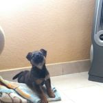 Loretta Ramos Morales - @lorettaramosmorales - Instagram