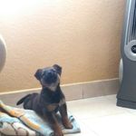Loretta Ramos Morales - @loretta_mos - Instagram