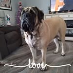 Loretta Morris - @lorettamorris8929 - Instagram