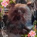 Loretta Mueller - Facebook