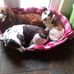 Loretta Needham - Facebook