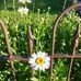 Loretta Neff - Facebook