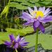 Loretta Ogle - Facebook