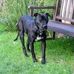 Loretta Olds - Facebook