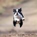 Loretta O Oswald - Facebook