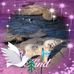 Loretta Parrott - Facebook