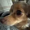 Loretta Peck - @loretta.peck - TikTok