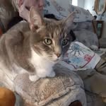 Loretta Ann Perkins - @lorettaannperkins6 - Instagram