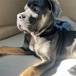 Loretta Perkins Thompson - @lorettaperkinsthompson - Instagram