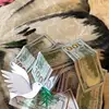 Loretta Pearson - @loretta.pearson5 - TikTok