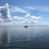 Loretta Powers - @lbpowers71 - TikTok