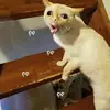 Loretta Pyle - @loretta.pyle - TikTok