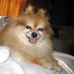 Loretta Ralph - Facebook