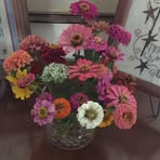 Loretta Reagan - Facebook