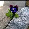 Loretta Reid - @loretta.reid8 - TikTok