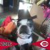 Loretta Lynn Roush - Facebook
