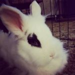 Loretta Medure Roush - @roushlorettaj - Instagram