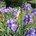 Loretta Roush - Facebook