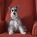 Loretta Ruther - Facebook