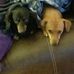 Loretta Sampley - Facebook
