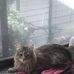 Loretta Schaffer - Facebook