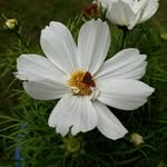 Loretta Schmidt - @loretta.schmidt463 - Instagram