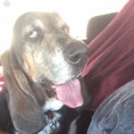 Loretta Schmidt - @hoagie_loving_life - Instagram