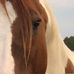 Loretta Schneider - Facebook