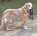 Loretta Schneider - Facebook